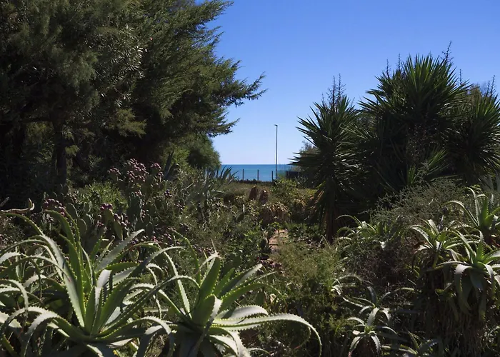 Vigata * プンタ・セッカ